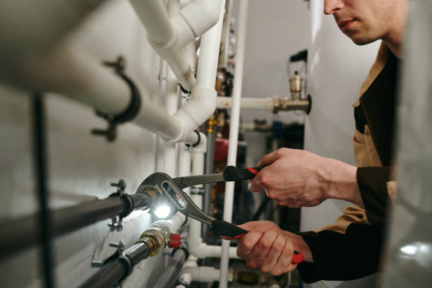 Best Affordable Plumber Near Me  in Forsyth, MO