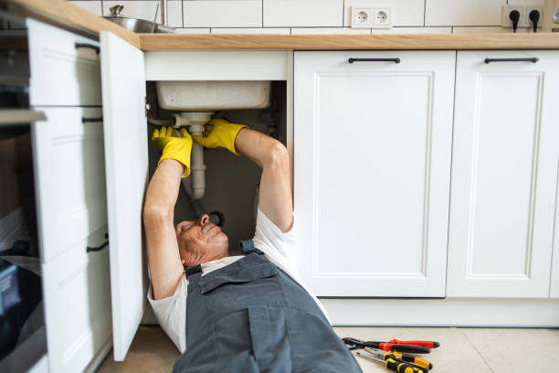 Best Commercial Plumbing Services  in Forsyth, MO